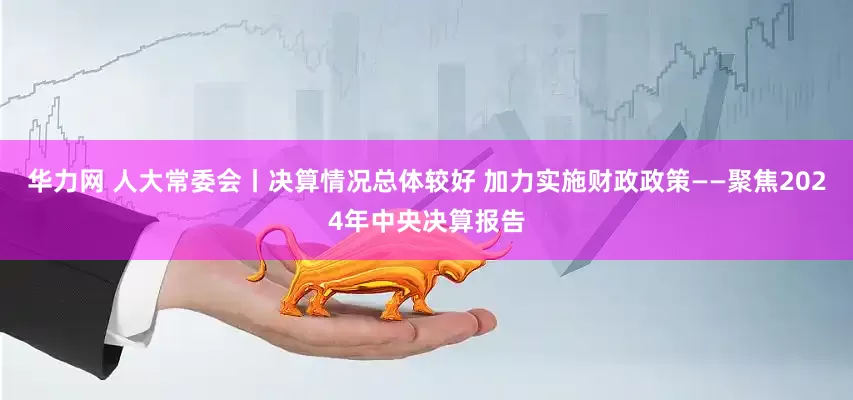 华力网 人大常委会丨决算情况总体较好 加力实施财政政策——聚焦2024年中央决算报告
