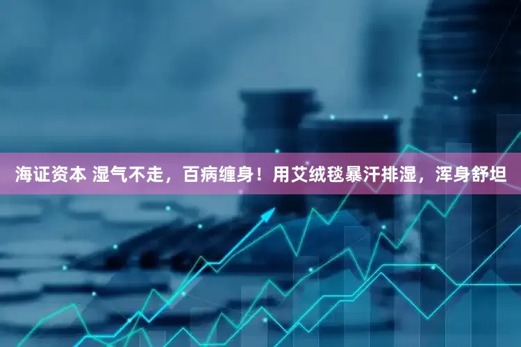 海证资本 湿气不走，百病缠身！用艾绒毯暴汗排湿，浑身舒坦