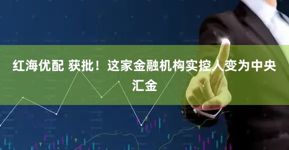 红海优配 获批！这家金融机构实控人变为中央汇金