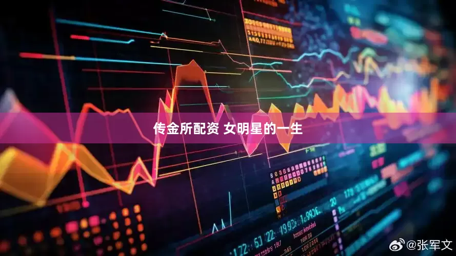 传金所配资 女明星的一生